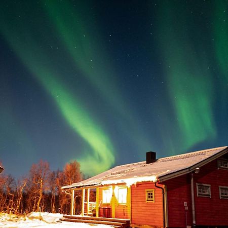 Trivelig Hytte I Senja. Екстер'єр фото
