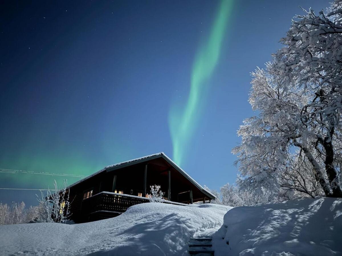 Trivelig Hytte I Senja. Екстер'єр фото