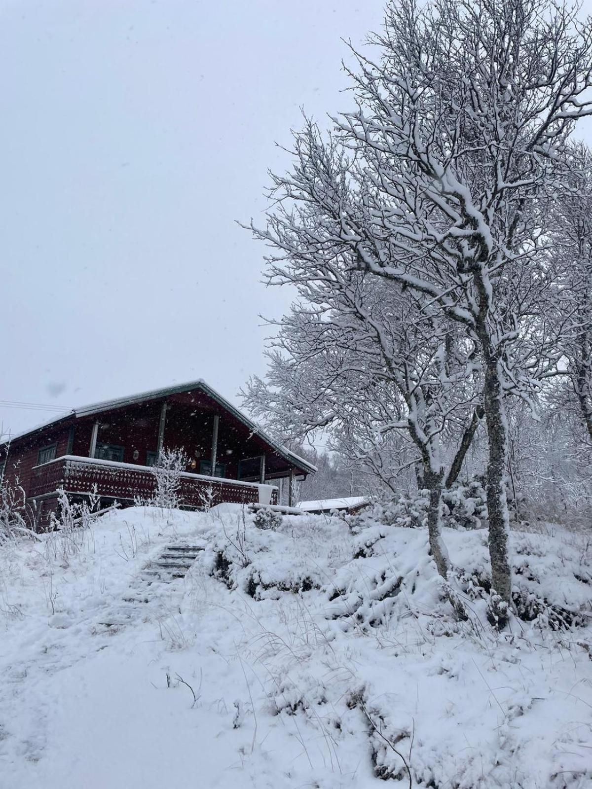 Trivelig Hytte I Senja. Екстер'єр фото